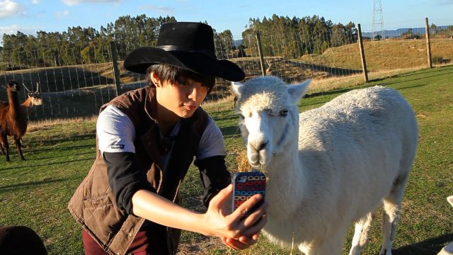 comm_prog_info130611095138mbcplus0