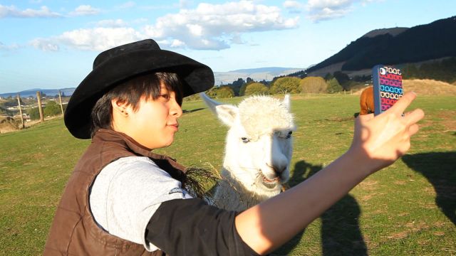 comm_prog_info130611095138mbcplus1