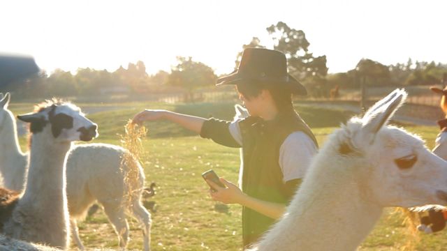 comm_prog_info130611095138mbcplus2