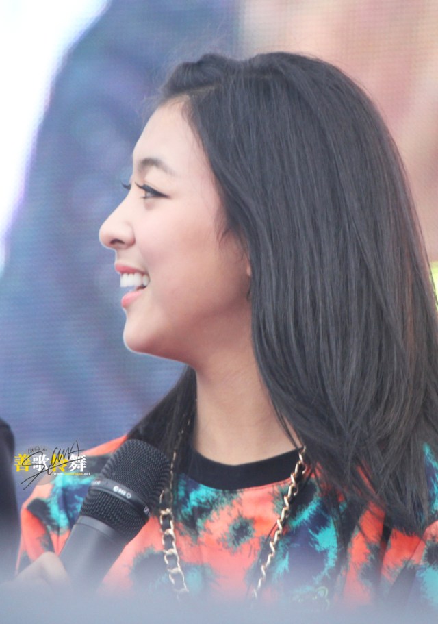 17326656820130712163834075