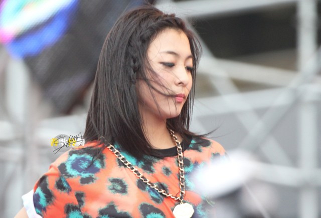 17326656820130712163849062