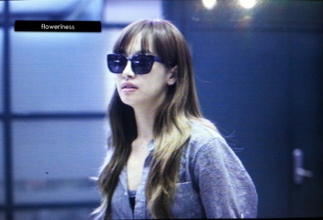 b1a21374jw1e680f6ypepj20q00hsdir